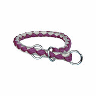 Hondenhalsband Trixie Bruin Zilverkleurig 25-31 cm 25-31cm 25 x 31 cm 1