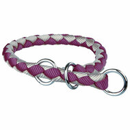 Hondenhalsband Trixie Bruin Zilverkleurig 25-31 cm 25-31cm 25 x 31 cm 2