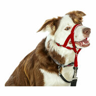 Trainingshalsbanden voor honden Company of Animals Halti Muilkorf (35-48 cm) 4