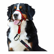 Trainingshalsbanden voor honden Company of Animals Halti Muilkorf (35-48 cm) 5