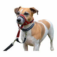 Trainingshalsbanden voor honden Company of Animals Halti Muilkorf (40-54 cm) 2