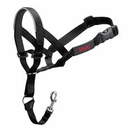 Trainingshalsbanden voor honden Company of Animals Halti Zwart Muilkorf (29-36 cm) 1