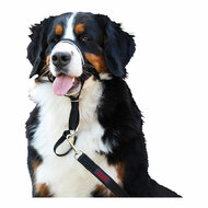 Trainingshalsbanden voor honden Company of Animals Halti Zwart Muilkorf (31-40 cm) 6