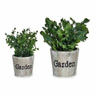 Decoratieve plant Groen Plastic 16 x 22 x 16 cm 1