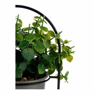 Decoratieve plant Grijs Met steun Metaal Plastic (14 x 30 x 14 cm) 2