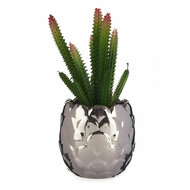 Decoratieve plant Zilverkleurig Cactus Keramisch Groen Plastic 10 x 20 x 10 cm 1