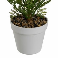 Decoratieve plant Polyethyleen Plastic Vaatplant 26 x 26 x 45 cm 4