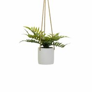 Decoratieve plant Polyethyleen Cement 30 x 30 x 24 cm 1