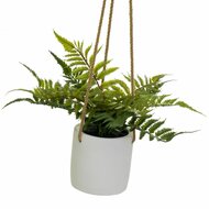 Decoratieve plant Polyethyleen Cement 30 x 30 x 24 cm 2