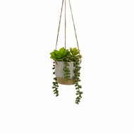 Decoratieve plant Keramisch Polyethyleen 13 x 13 x 20 cm 1