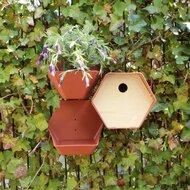 Capi Vogelhuisje Hive 1 rond gat 19x23x20 cm bruin  3