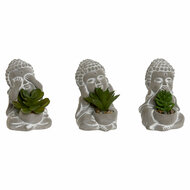 Decoratieve plant Home ESPRIT Polyethyleen Cement Boeddha Orientaals 8,5 x 7 x 11 cm (3 Stuks) 1